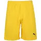 Puma Hlače rumena 182 - 187 cm/L Teamrise