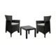 IPAE-PROGARDEN Baštenski set Forest antracit