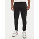 Tommy Jeans Spodnji del trenirke Flag DM0DM20473 Črna Slim Fit
