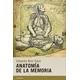Anatomía de la memoria