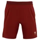 Moške kratke hlače Tecnifibre Club Short Cardinal L