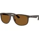 Ray-Ban RB4468 6124BB