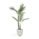 Umetna palma (višina 70 cm) – Kave Home
