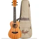 Flight Elise Ecklund NAT Concert Ukulele