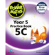 Power Maths 2nd Edition Practice Book 5C