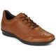 Geox  UOMO SYMBOL  Kostanjeva