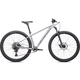 SPECIALIZED ROCKHOPPER EXPERT 29 SILDST/BLKHLG