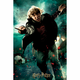 Harry Potter Ron Weasley Prime 3D puzzle 300 kom