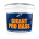 Gigant Pro Mass (5 kg)