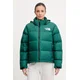 Puhovka The North Face 1996 Retro Nuptse
