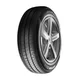 Avon ZT7 ( 175/70 R14 88T XL )