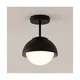 BRILAGI - Plafonski luster COSMO 1xE27/60W/230V crni