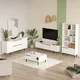 HANAH HOME Set za dnevnu sobu ON21 W