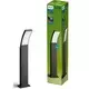 Philips - LED spoljašnja lampa SPLAY LED/4,3W/230V 2700K 60 cm IP44