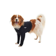 Zaščitna obleka Body&Front Legs 50cm L BUSTER