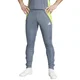 Hlače adidas TIRO24 TRPNT