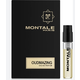 Montale Oudmazing Parfémovaná voda, 2 ml