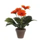 Umetna gerbera, oranžna