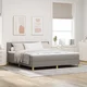 vidaXL vidaXL Box Spring Postelja z Blazino in LED Taupe 180x200 cm Tkanina, (22048958)