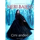 Crni anđeo