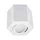 Spot svetlo ARENO 1xGU10/30W/230V belo