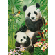 Castorland - Puzzle Panda Brunch - 1 000 dijelova