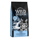 Wild Freedom Kitten Cold River losos - bez žitarica - 2 x 6,5 kg