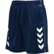 Kratke hlače Hummel hmlCORE XK POLY COACH HORT