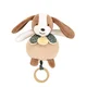 Plyšové zvieratko s melódiou Music Box Les Rikikis Doudou et Compagnie v darčekovom balení rôzne druhy 20 cm od 0 mes DC4157