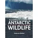 Complete Guide to Antarctic Wildlife
