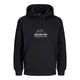 JACK & JONES Majica JCOLima siva / črna / bela