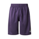 ADIDAS ORIGINALS Hlače GRFX robida/črna/bela