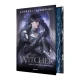 Sorceleur (Witcher), T2 : L'Epée de la Providence (édition reliée)