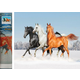 Norimpex - Puzzle Diamantna slika Konské trio 30x40cm - 1 - 39 kosov