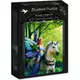 Bluebird puzzle 1500 pcs Anne Stokes - Realm of Enchantment 70440
