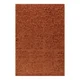 Preproga v barvi terakote 200x290 cm – Asiatic Carpets