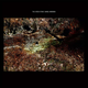 Daniel Norgren - The Green Stone (LP)