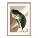Tiskana slika z okvirjem 50x70 cm Strelizia Leaf – Styler