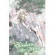 Rainbows After Storms, Vol. 11