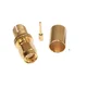 WS Connect RP-SMA Male krimp za CNT300