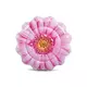 INTEX Pink Daisy Flower Mat