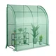 Northio Rastlinjak iz folije Walk-in mini rastlinjak s polico za rože 198,5 x 98 x 215 cm, zelen