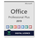 Microsoft Microsoft Office 2019 Professional Plus ESD e-Licenca, (57192197)
