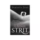 Dablin strit