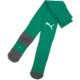 Puma Nogavice teamLIGA26 Core