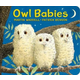 Owl Babies