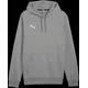 Mikica kapuco Puma teamGOAL Caual Hoody