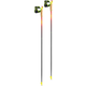 Rupa Leki Poles Vertical K x2