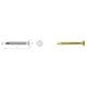 shumee LESENI VIJAK RUMEN POCINKAN ZA TORX PFS+ 3,0*20MM T10 - 2 STO - 510 3,0*20*