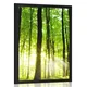 Plakat sveži zeleni gozd - 30x45 silver